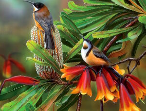 Райские птицы и цветы