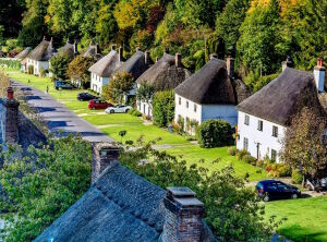 Милтон Аббас