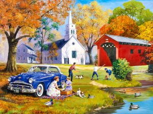 Пикник на машине