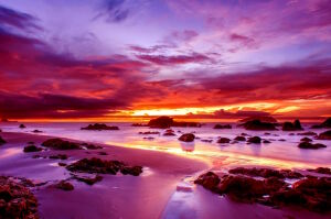 Красная природа