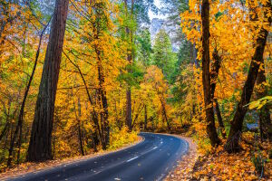 Дорога осенью