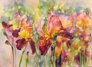 Акварельные ирисы