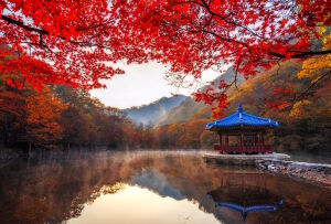 Беседка Корея