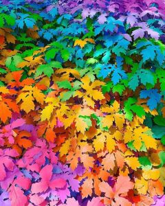 Разноцветные листья
