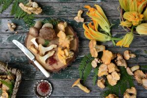 Лисички, боровики