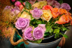 Розы в ведре
