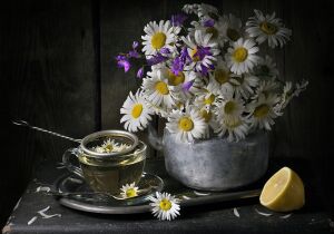 Ромашки, колокольчики, чайник, лимон