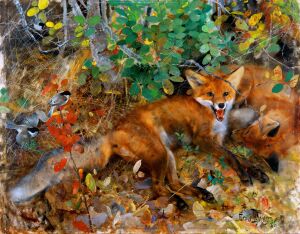 Лисы - Бруно Лильефорс