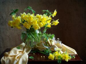 Нарциссы, груши - Мила Миронова