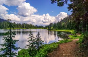 Речка, берег, тропа, облака