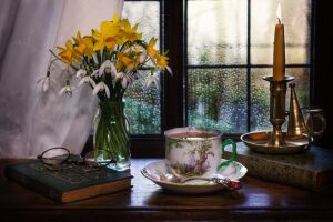 Книга, очки, цветы, свеча, окно