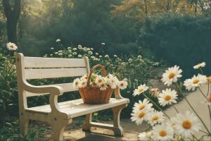 Корзина с ромашками, скамья, сад