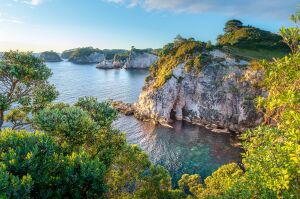 Скалы, море, растительность на скалах