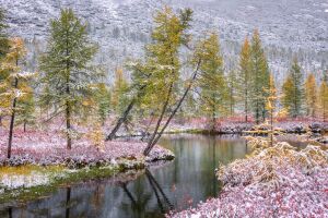 Колыма - Максим Евдокимов