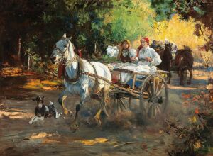 Веселое путешествие в карете - Альфред Ян Максимилиан Веруш-Ковальский