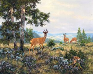 Благородный олень на возвышенности - Эрих Дихтль
