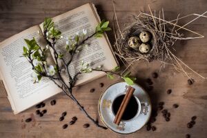Натюрморт с книгой, кофе, вербой и гнездом с яйцами