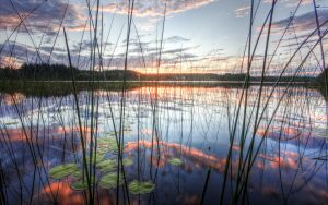 Закат над озером: отражение природы в воде
