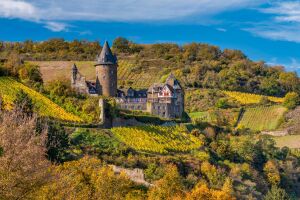 Замок Шталек на холме среди виноградников
