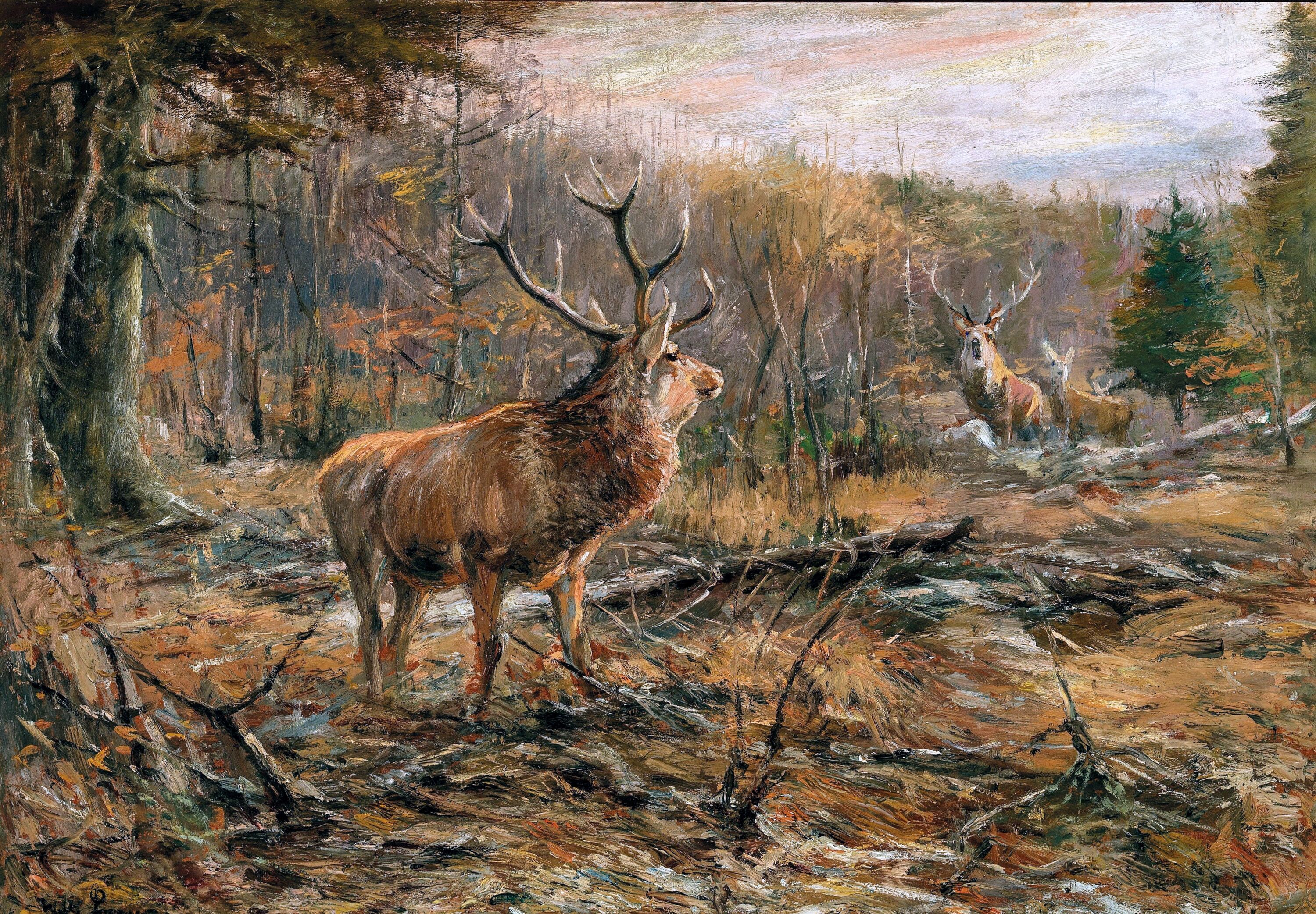 Соперник - Вильгельм Лоренц