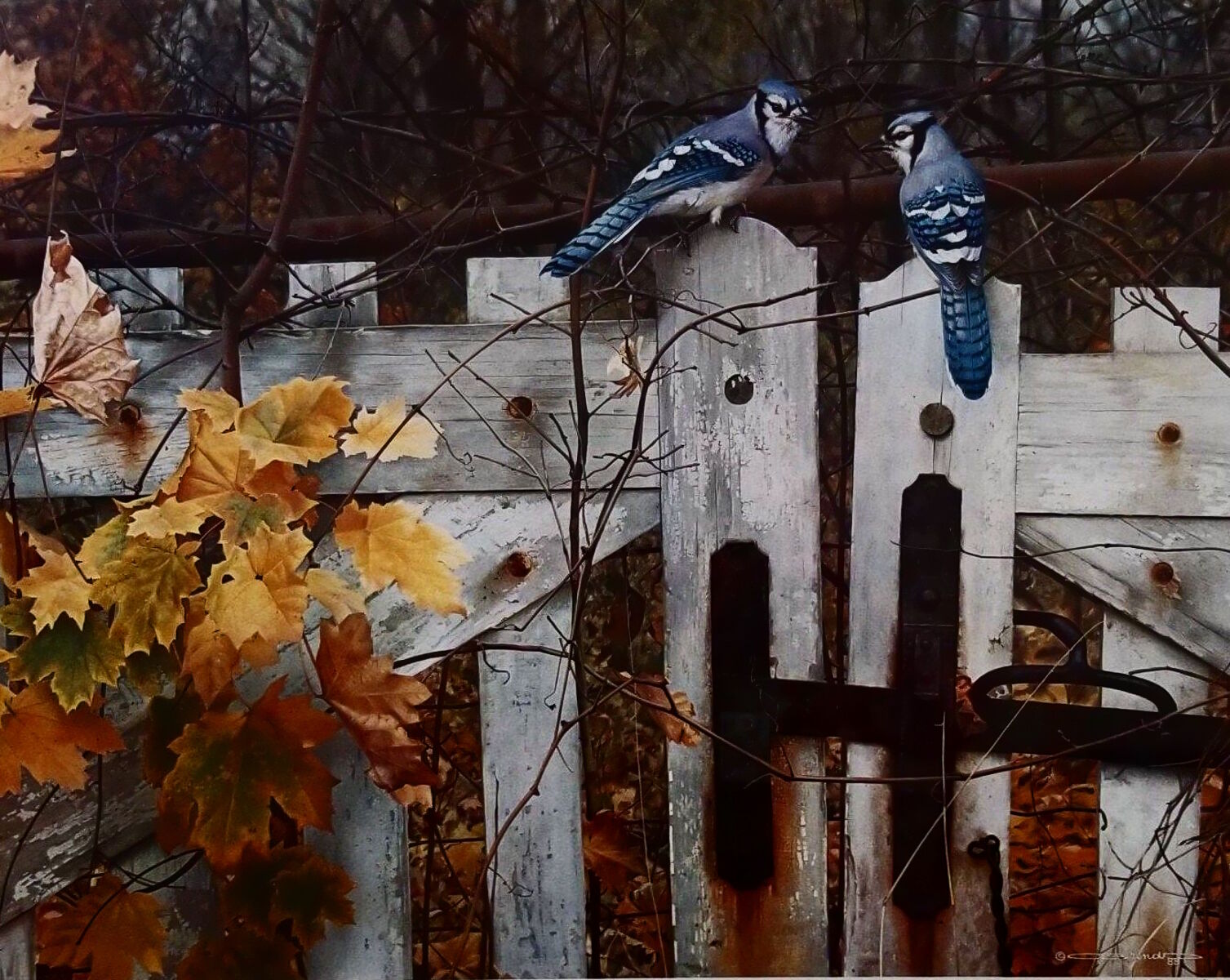 Встреча синих птиц
