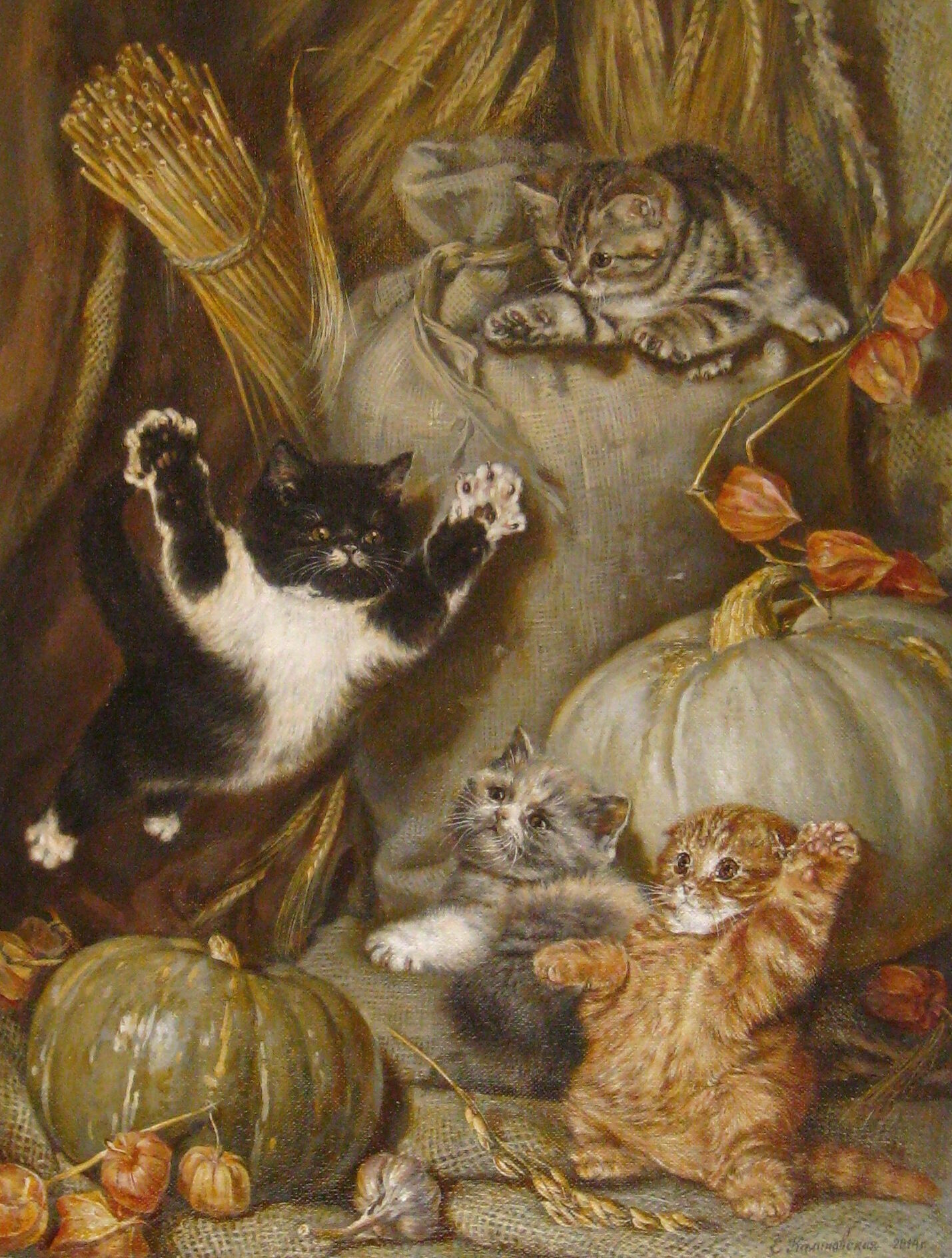 Кошачьи игры