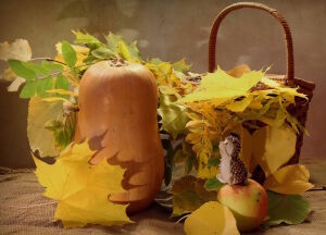 Тыква и листья