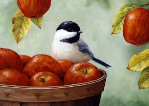 Птичка и яблоки