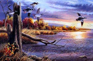 Утки над рекою