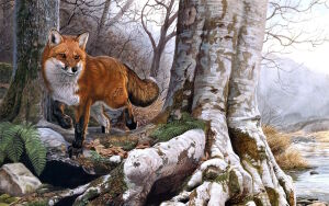 Лиса в лесу