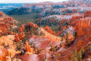 Брайс-Каньон в США