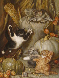 Кошачьи игры