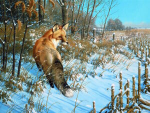 Убегающая лиса