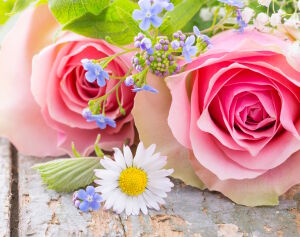 Розы с незабудками