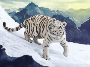 Тигр в горах