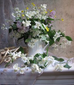 Жасмин и тюль