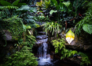 Маленький водопад на клумбе