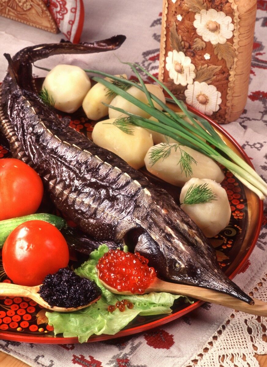 Осетрина царская