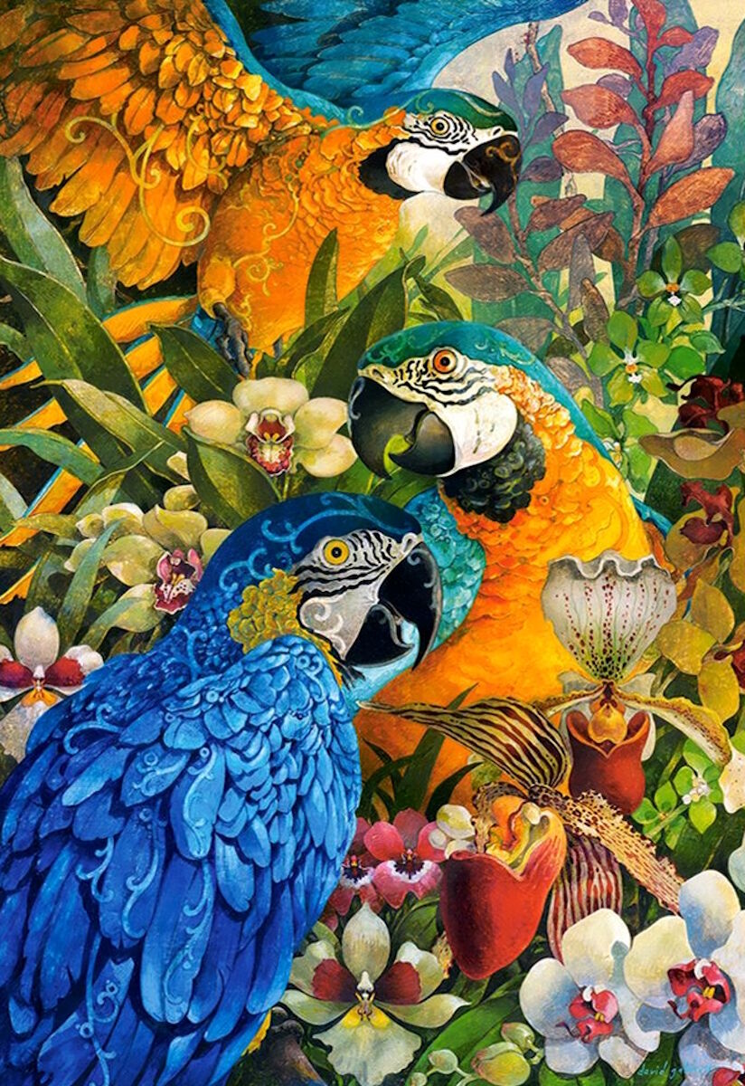 Три попугая