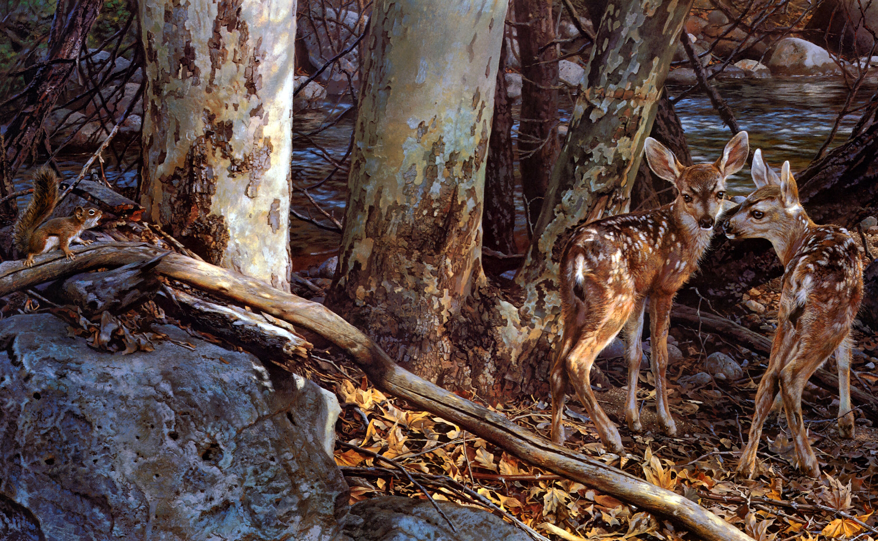 Белка и оленята