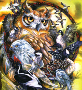 Множество птиц