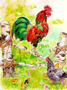 Петушок и его семья