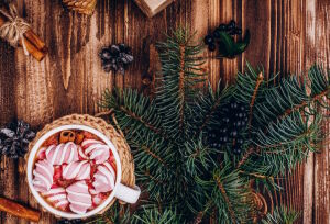 Ель и маршмеллоу