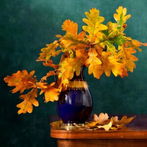 Дубовая ветка