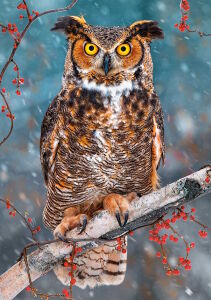 Виргинский филин не мышь