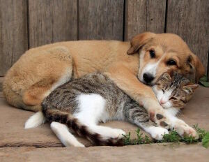 Вместе теплее