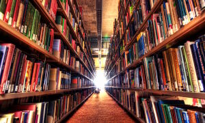 Полки библиотеки