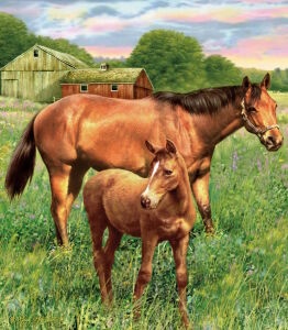 Жеребенок с мамой