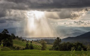 Под лучами солнца
