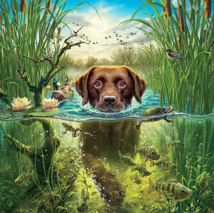 Пес в пруду